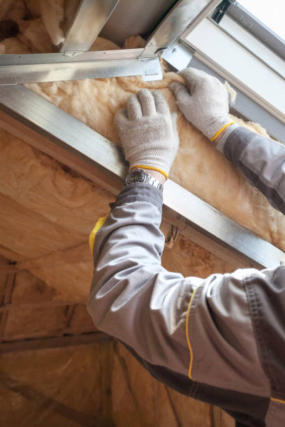 Best Insulation Maintenance and Repair in Holt, AL